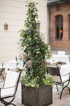 monbijou Hotel Berlin galeri fotoğrafı