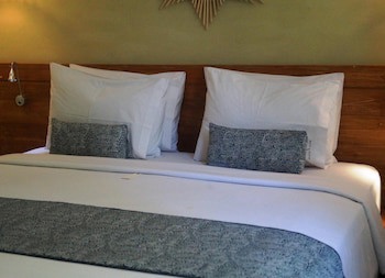 Arana Suite