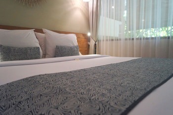Arana Suite
