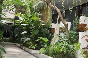Arana Suite