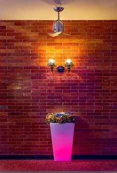 The Youniq Hotel