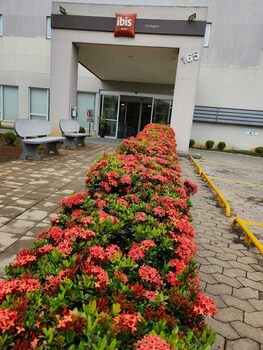 Ibis Contagem Ceasa