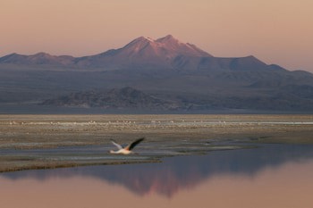 Our Habitas Atacama