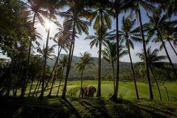 The Lombok Lodge Suites & Private Villas