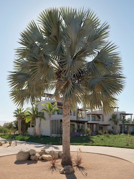 Kimpton Mas Olas Resort And Spa - Adults Only