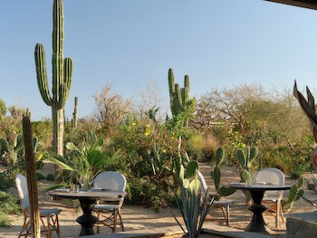 Kimpton Mas Olas Resort And Spa - Adults Only