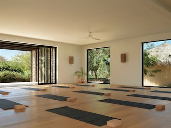 Kimpton Mas Olas Resort And Spa - Adults Only