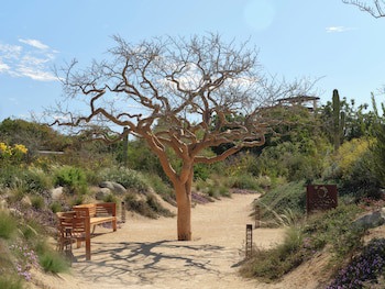 Kimpton Mas Olas Resort And Spa - Adults Only