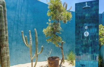 Kimpton Mas Olas Resort And Spa - Adults Only