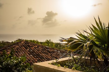 Royal Isabela
