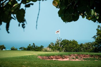 Royal Isabela