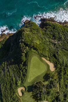 Royal Isabela