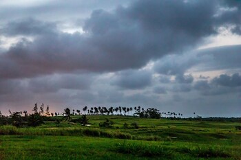 Royal Isabela