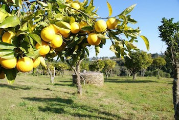 Herdade Do Freixial