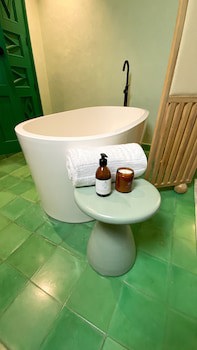 Hotel Emilia Castillo