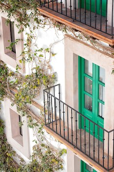 Hotel Emilia Castillo