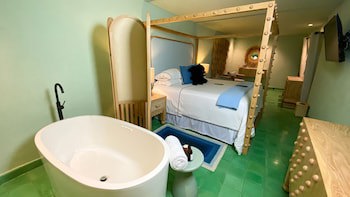Hotel Emilia Castillo