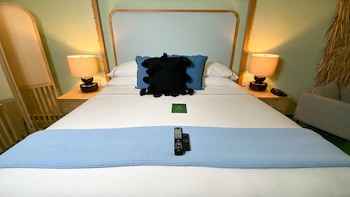 Hotel Emilia Castillo