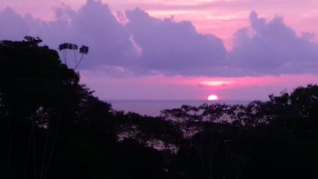 Alma De Ojochal