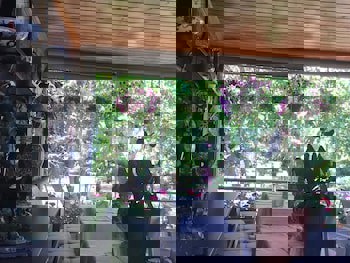 Dilhayat Kalfa Hotel