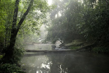 Amanvana Spa Resort - Coorg