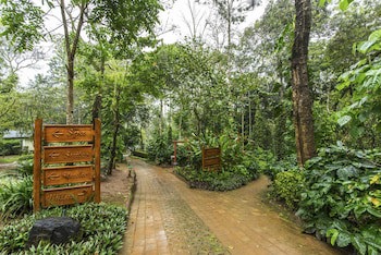The Windflower Resorts & Spa