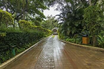 The Windflower Resorts & Spa