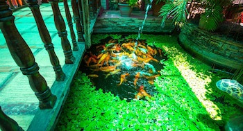 Deep Forest Garden Hotel