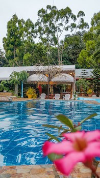Deep Forest Garden Hotel