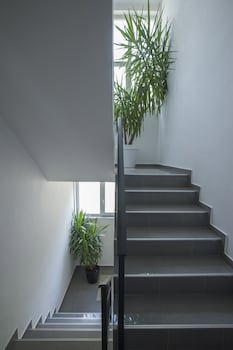 Apartments Djurasevic