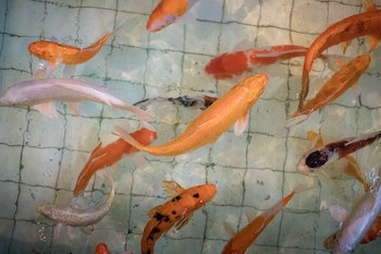 Wangtai Hotel
