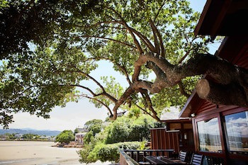 Under Milkwood Resort