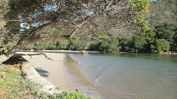 Under Milkwood Resort