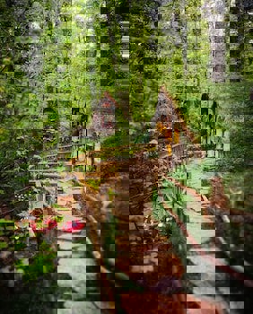 Wellborn Luxury Hotel