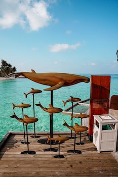 Centara Ras Fushi Resort & Spa Maldives (Adults Only)