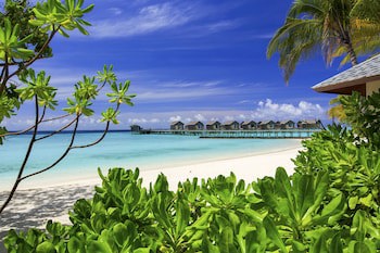 Centara Ras Fushi Resort & Spa Maldives (Adults Only)
