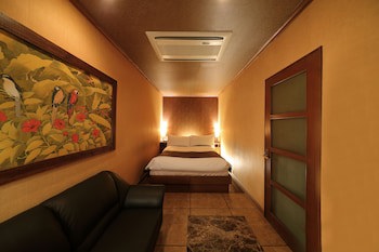 Grand Fine Kyoto Okazaki - Adults Only