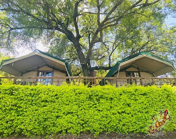 Sabie River Bush Lodge