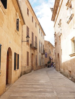 Alcudia Petit