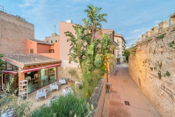 Alcudia Petit
