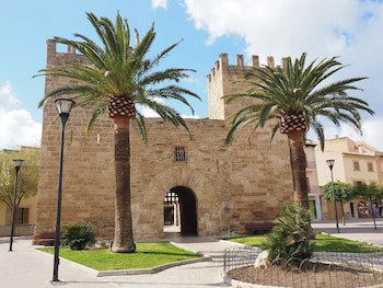 Alcudia Petit