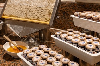 Fort Arabesque Resort, Spa & Villas