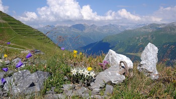 Alpengold Davos
