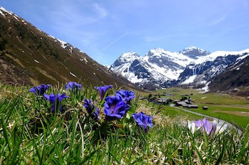Alpengold Davos