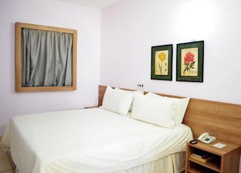 Aracatuba Plaza Hotel
