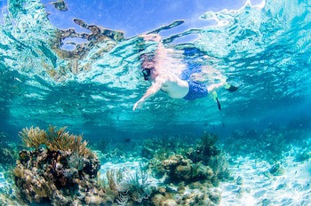Holiday Inn Resort Grand Cayman, An Ihg Hotel