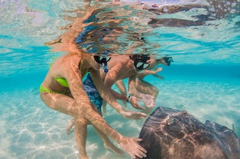 Holiday Inn Resort Grand Cayman, An Ihg Hotel