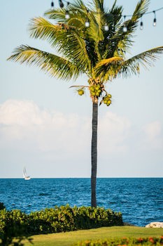 Holiday Inn Resort Grand Cayman, An Ihg Hotel