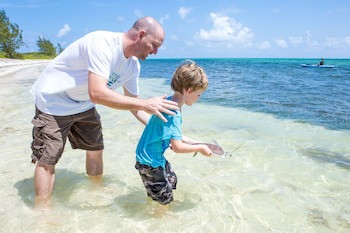 Holiday Inn Resort Grand Cayman, An Ihg Hotel