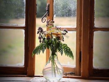 Hay Meadow Farm